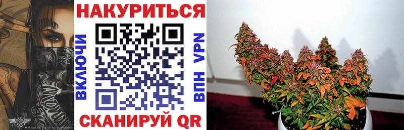 Где продают наркотики Санкт-Петербург Гашиш Альфа ПВП Меф Марихуана