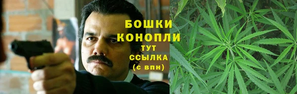 МДПВ Богородск