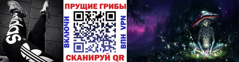 Псилоцибиновые грибы Cubensis  Санкт-Петербург 